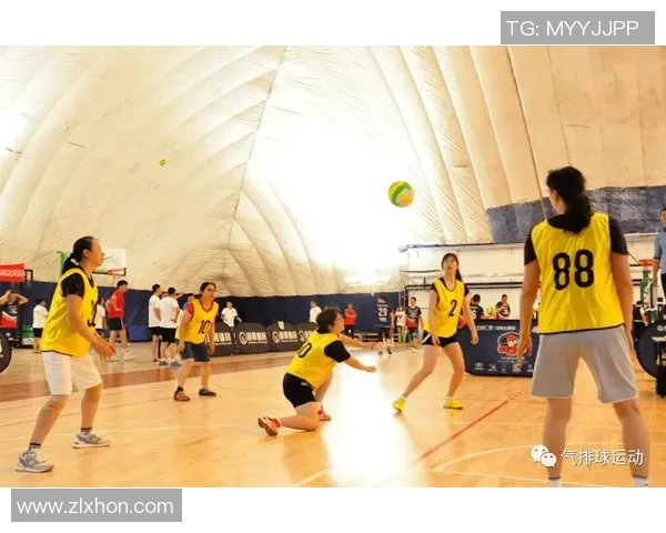 南京排球队意识对比分析：探讨团队文化与竞技表现的关系